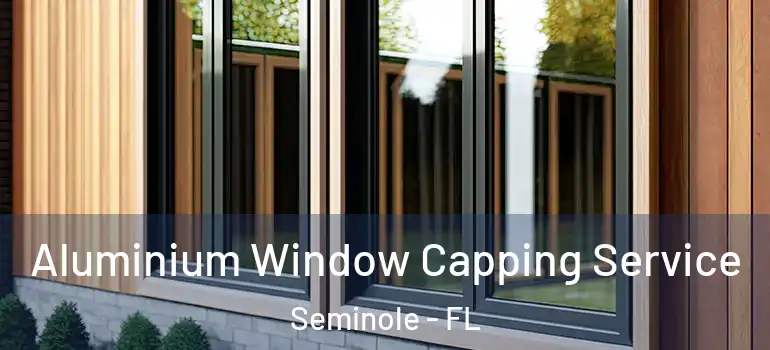Aluminium Window Capping Service Seminole - FL