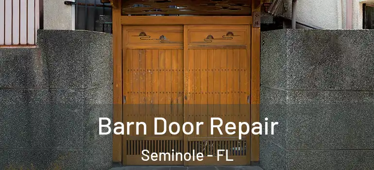 Barn Door Repair Seminole - FL
