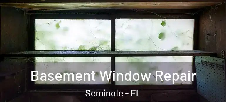 Basement Window Repair Seminole - FL