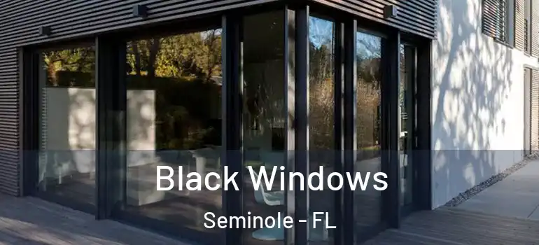 Black Windows Seminole - FL