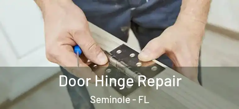 Door Hinge Repair Seminole - FL