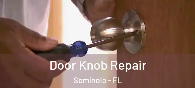 Door Knob Repair Seminole - FL