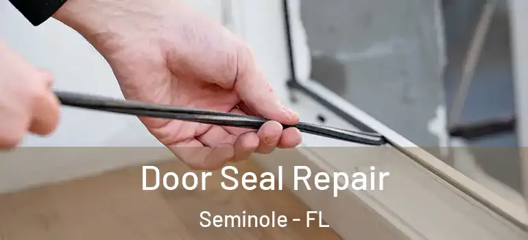 Door Seal Repair Seminole - FL