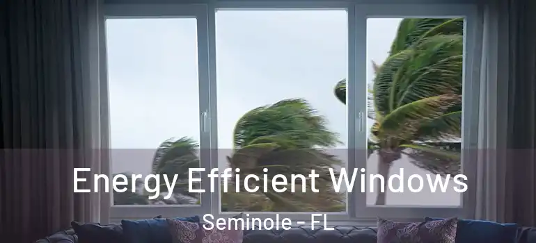 Energy Efficient Windows Seminole - FL