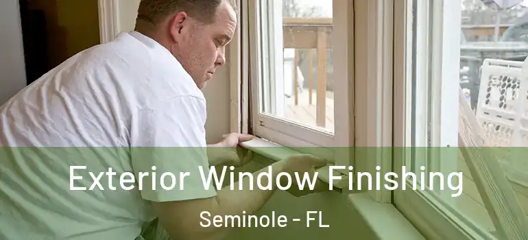 Exterior Window Finishing Seminole - FL