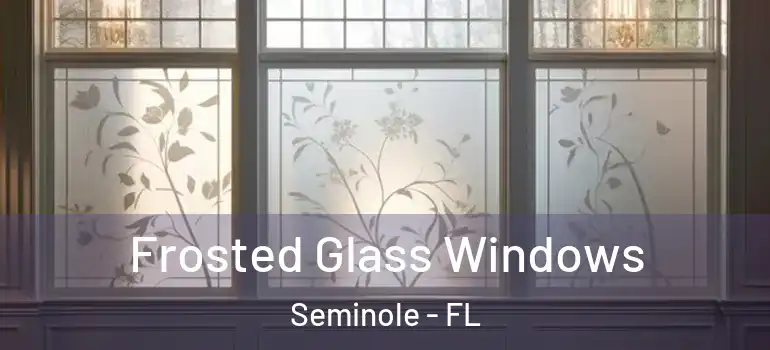 Frosted Glass Windows Seminole - FL