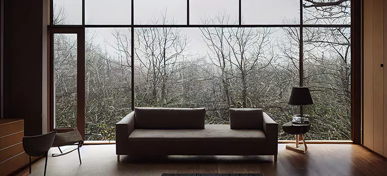 Casement Picture Window in Seminole, FL