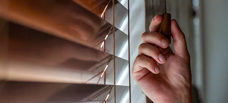 Double Roller Blinds in Seminole, FL