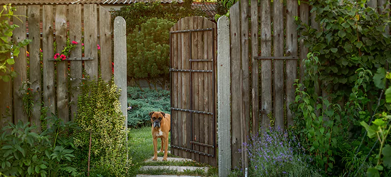 Winter Garden Garage Door Repair in Seminole,[location field=state]