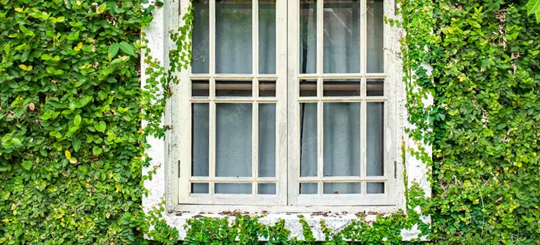 Garden Window Repair Near Me in Seminole, FL