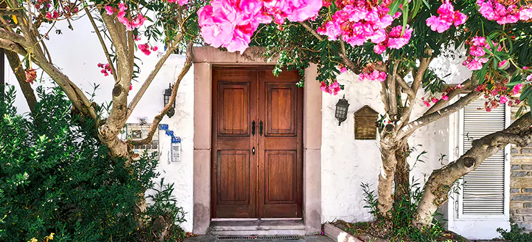 Traditional 4 Panel Internal Doors in Seminole, FL
