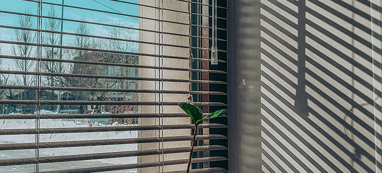 Commercial Window Blinds in Seminole, FL