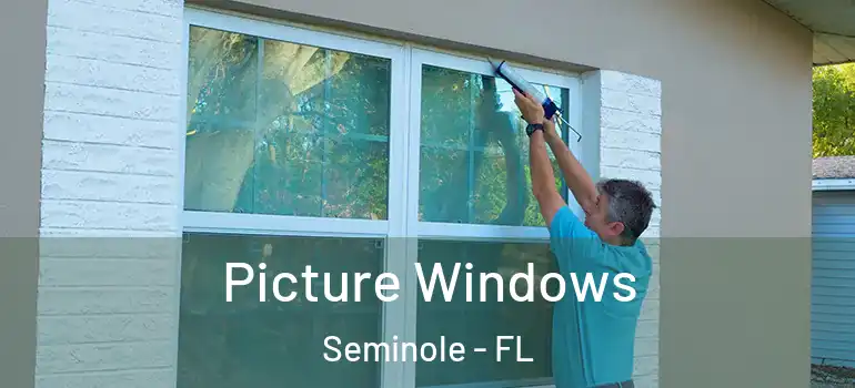 Picture Windows Seminole - FL