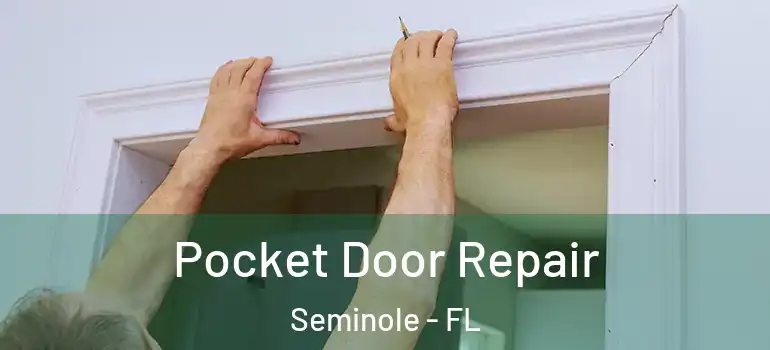 Pocket Door Repair Seminole - FL