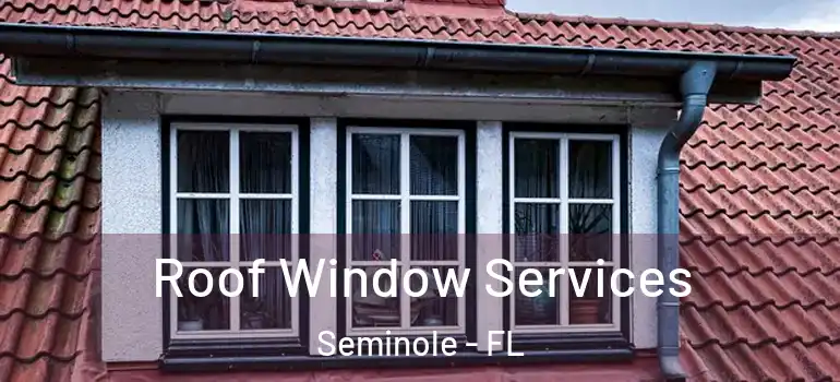Roof Window Services Seminole - FL