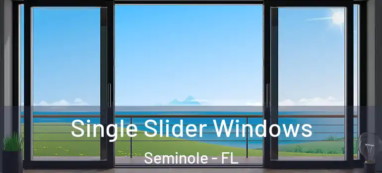 Single Slider Windows Seminole - FL