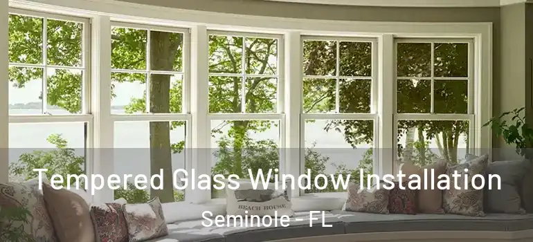 Tempered Glass Window Installation Seminole - FL