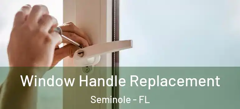 Window Handle Replacement Seminole - FL