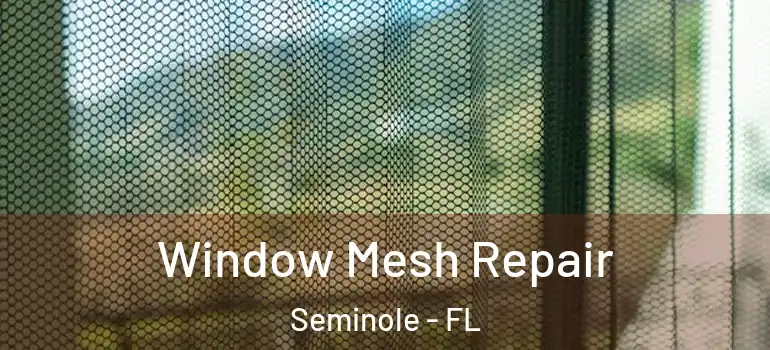 Window Mesh Repair Seminole - FL