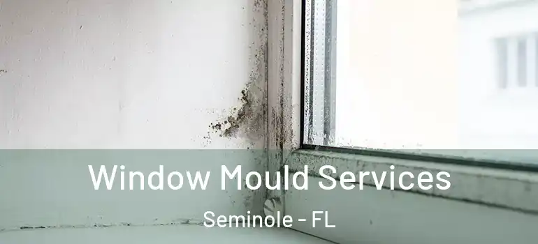 Window Mould Services Seminole - FL
