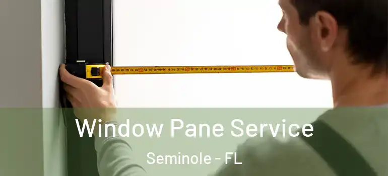 Window Pane Service Seminole - FL