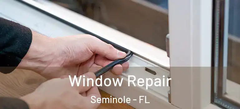 Window Repair Seminole - FL