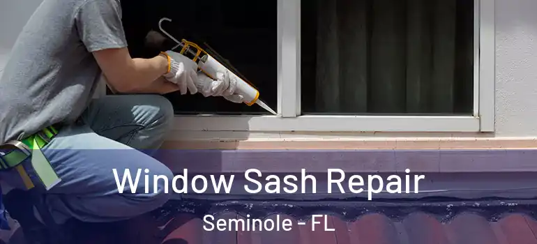 Window Sash Repair Seminole - FL